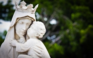Mary - Pilgrim of Faith: 
