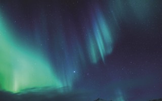 "Starlight Shine-On" Campaign Event