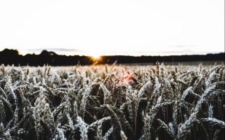 Refugia Retreats: Listening to Your Life