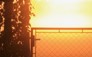 Radical Recovery & Relational Healing