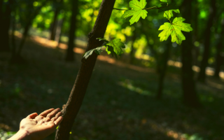 Climate Hope Speaker Series