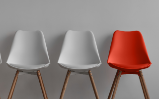 The Inclusion Journey