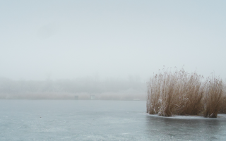 An Advent Contemplative Prayer Retreat