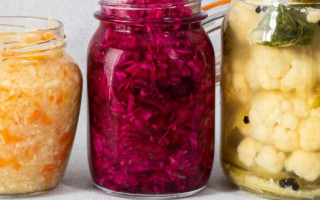 The Art of Fermentation