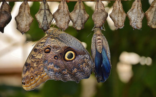 Into the Deep Day Retreat April