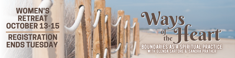 A boundary fence along a beach